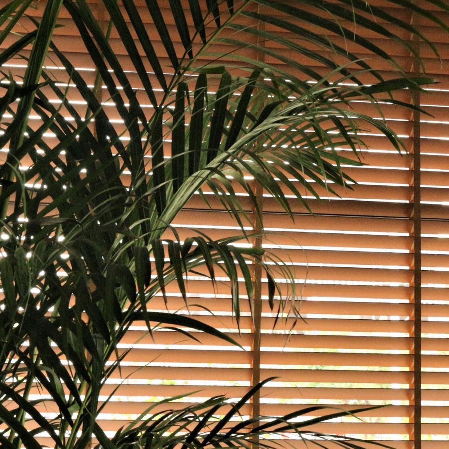 Persianas de Madera